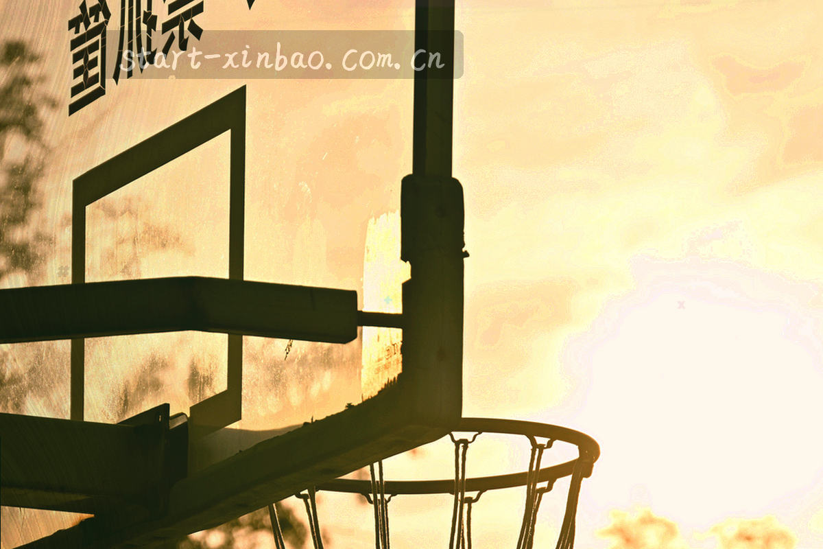 脉冲式数据曲线与节点亮点分布在冷色底上的同步节奏图